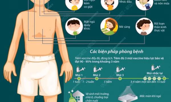 Viêm não Nhật Bản: Biểu hiện và cách phòng ngừa