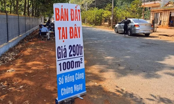 Chỉ sau một cú điện thoại của 'cò', giá đất bị thổi thêm 4 triệu đồng/m2