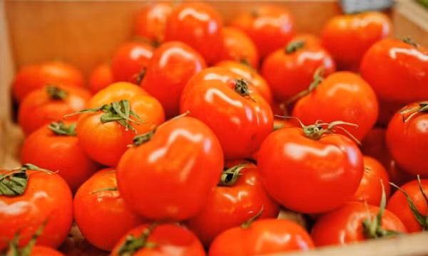 Vì sao ăn cà chua gây ra các vấn đề tiêu hóa?