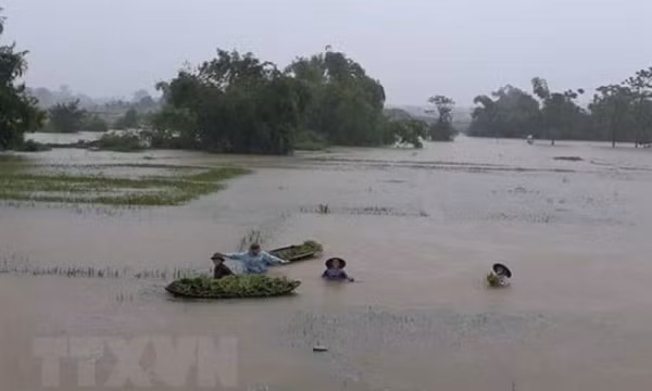 Các địa phương tiếp tục chịu nhiều thiệt hại do mưa lớn gây ngập