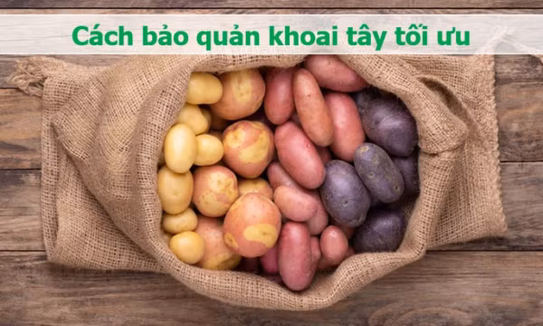 Khoai tây có màu này cần bỏ ngay vì có độc