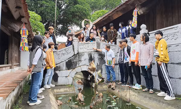 Sự cần thiết có một nghị định về hoạt động văn học