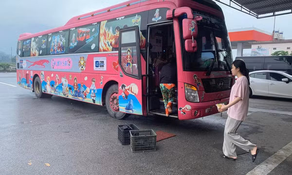 Cần đình chỉ hoạt động xe khách gắn biển số Lào hoạt động 'chui' tại Việt Nam