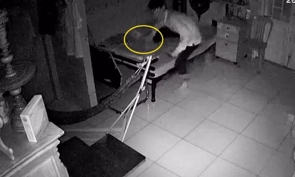 Mở cửa hóng gió, trộm leo rào vào cuỗm sạch tài sản