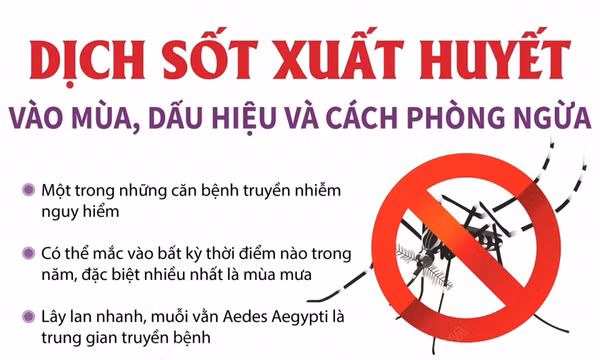 Dịch sốt xuất huyết vào mùa, dấu hiệu và cách phòng ngừa