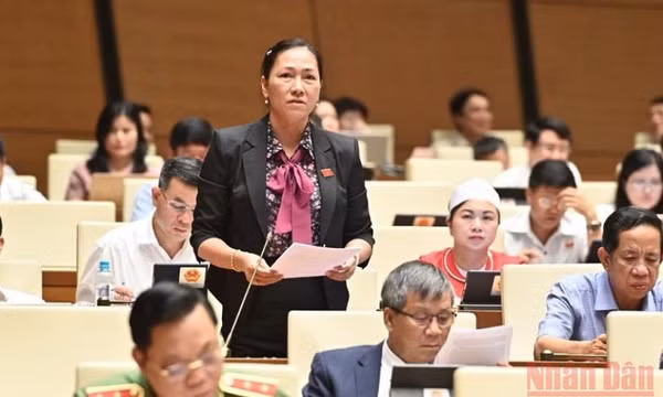 Kiểm soát chặt chẽ kịch bản phim nước ngoài quay ở Việt Nam