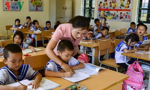 Cử nhân ngôn ngữ Anh muốn làm giáo viên tiểu học được không?