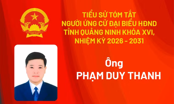 Tiểu sử ứng cử viên đại biểu HĐND tỉnh khóa XV Phạm Duy Thanh