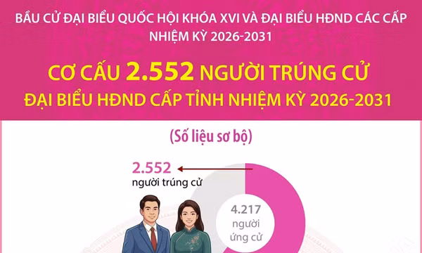 Cơ cấu 2.552 người trúng cử đại biểu HĐND cấp tỉnh nhiệm kỳ 2026-2031