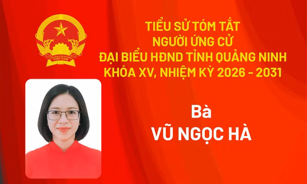 Tiểu sử ứng cử viên đại biểu HĐND tỉnh khóa XV Vũ Ngọc Hà