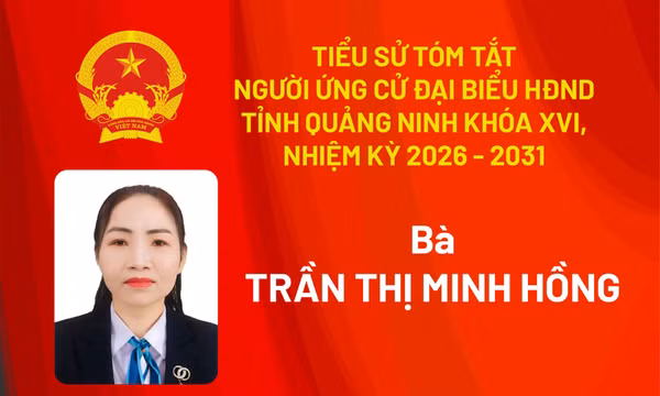 Tiểu sử ứng cử viên đại biểu HĐND tỉnh khóa XV Trần Thị Minh Hồng