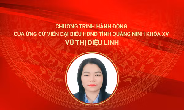 Chương trình hành động của ứng cử viên đại biểu HĐND tỉnh Quảng Ninh khóa XV Vũ Thị Diệu Linh