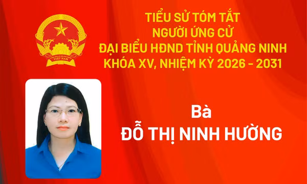 Tiểu sử ứng cử viên đại biểu HĐND tỉnh khóa XV Đỗ Thị Ninh Hường