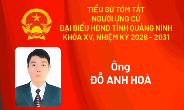 Tiểu sử ứng cử viên đại biểu HĐND tỉnh khóa XV Đỗ Anh Hoà