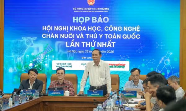 Sẽ nghiên cứu chỉnh gene lợn Móng Cái để giảm tỉ lệ mỡ