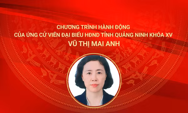 Chương trình hành động của ứng cử viên đại biểu HĐND tỉnh khóa XV Vũ Thị Mai Anh