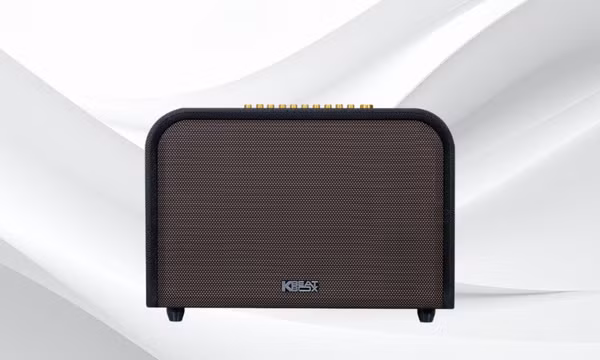 Top loa kéo, loa karaoke siêu êm, xài bền, đáng mua năm nay