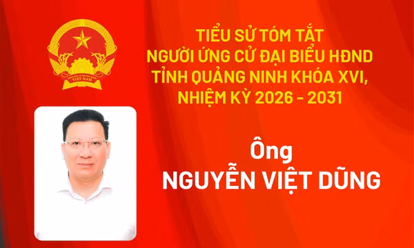 Tiểu sử ứng cử viên đại biểu HĐND tỉnh khóa XV Nguyễn Việt Dũng