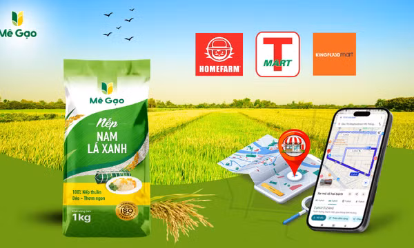 Mua nếp nam lá xanh ở đâu uy tín? Giá tốt, giao nhanh