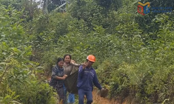 Khai thác keo dưới đường dây 110kV, hai người bị thương nặng do phóng điện