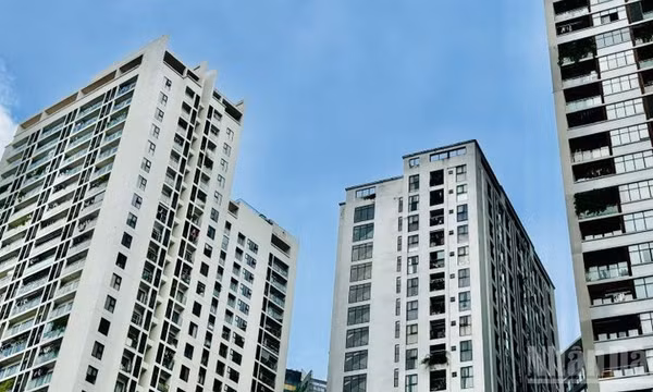 Những chính sách mới có hiệu lực trong tháng 3