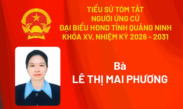 Tiểu sử ứng cử viên đại biểu HĐND tỉnh khóa XV Lê Thị Mai Phương