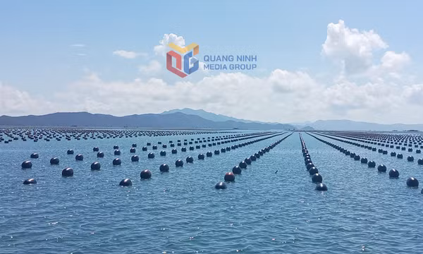 Động lực phát triển kinh tế từ tái cơ cấu ngành nông nghiệp