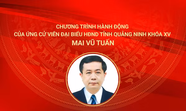 Chương trình hành động của ứng cử viên đại biểu HĐND tỉnh Quảng Ninh khóa XV Mai Vũ Tuấn