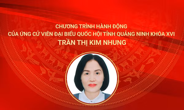 Chương trình hành động của ứng cử viên đại biểu Quốc hội khóa XVI Trần Thị Kim Nhung