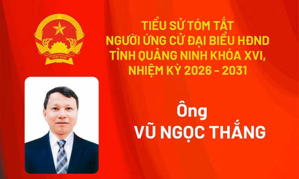 Tiểu sử ứng cử viên đại biểu HĐND tỉnh khóa XV Vũ Ngọc Thắng