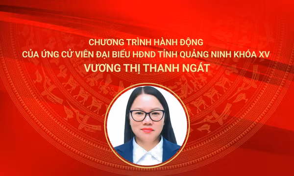 Chương trình hành động của ứng cử viên đại biểu HĐND tỉnh Quảng Ninh khóa XV Vương Thị Thanh Ngát 
