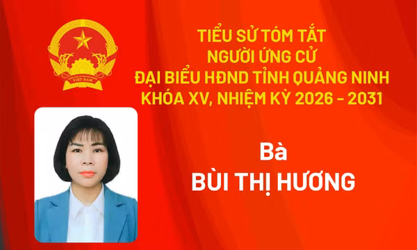 Tiểu sử ứng cử viên đại biểu HĐND tỉnh khóa XV Bùi Thị Hương