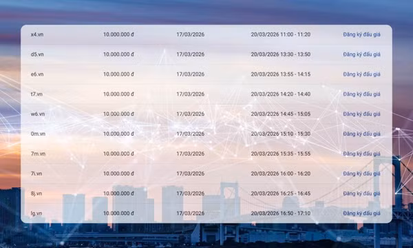 Loạt tên miền “.vn” siêu ngắn tiếp tục lên sàn đấu giá trong ngày 20.3