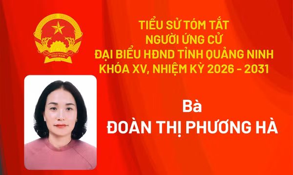 Tiểu sử ứng cử viên đại biểu HĐND tỉnh khóa XV Đoàn Thị Phương Hà
