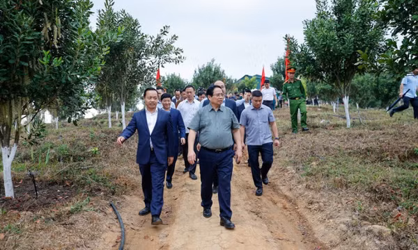 Thủ tướng Phạm Minh Chính: Cần biến núi rừng Tây Bắc trùng điệp thành của cải vật chất