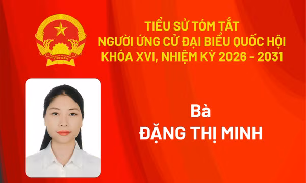 Tiểu sử ứng cử viên đại biểu Quốc hội khóa XVI Đặng Thị Minh