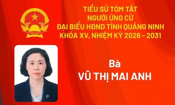 Tiểu sử ứng cử viên đại biểu HĐND tỉnh khóa XV Vũ Thị Mai Anh