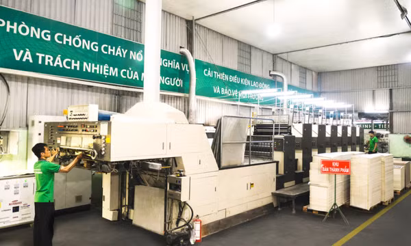 Xưởng sản xuất hộp giấy Thái Bình Dương: Đồng hành cùng doanh nghiệp Việt nâng tầm vị thế