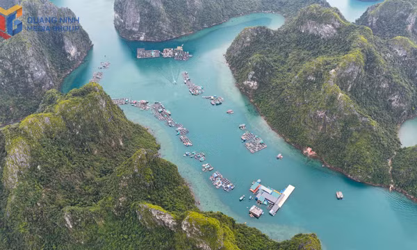 Nhịp sống biển ở làng chài Cửa Vạn