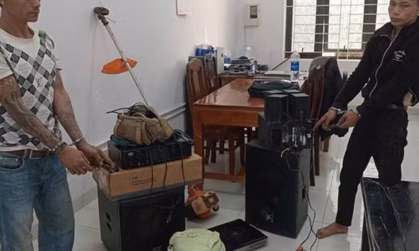 Bắt 2 đối tượng gây ra loạt vụ trộm tại các rẫy cà phê ở Gia Lai