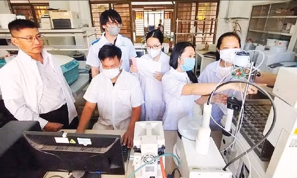 Tiềm năng dược liệu từ cây ngải trắng