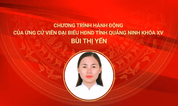 Chương trình hành động của ứng cử viên đại biểu HĐND tỉnh khóa XV Bùi Thị Yến