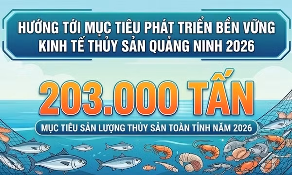 203.000 tấn - là mục tiêu sản lượng thuỷ sản toàn tỉnh năm 2026 của ngành Nông nghiệp Quảng Ninh