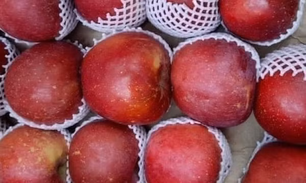 Bữa sáng đơn giản nhưng giúp kiểm soát axit uric bà nội trợ nên biết