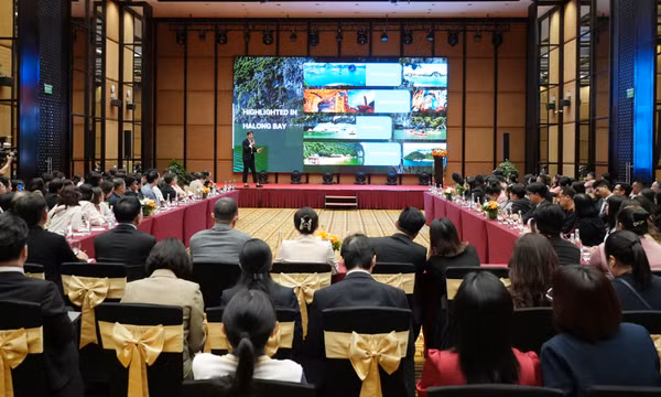 Kết nối, giới thiệu, quảng bá du lịch Quảng Ninh với đoàn famtrip Thái Lan