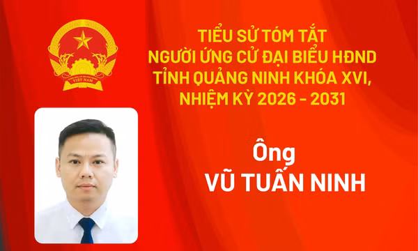 Tiểu sử ứng cử viên đại biểu HĐND tỉnh khóa XV Vũ Tuấn Ninh