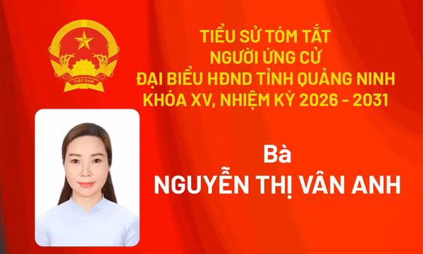 Tiểu sử ứng cử viên đại biểu HĐND tỉnh khóa XV Nguyễn Thị Vân Anh