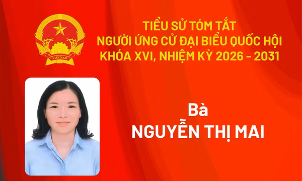 Tiểu sử ứng cử viên đại biểu Quốc hội khóa XVI Nguyễn Thị Mai