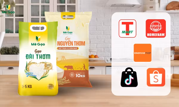 Gạo Đài Thơm và gạo Tài Nguyên: Nên chọn loại nào?