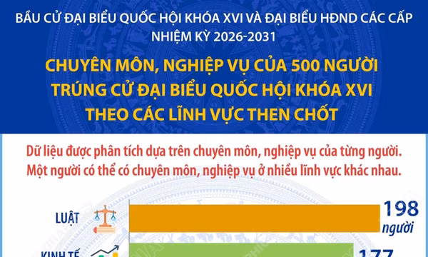 Chuyên môn, nghiệp vụ của 500 người trúng cử đại biểu Quốc hội khóa XVI